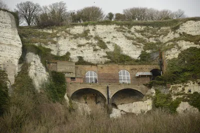 DSC_1290 (Large).JPG